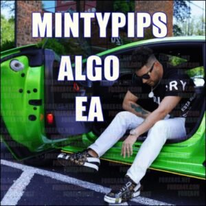 MINTYPIPS ALGO EA v1